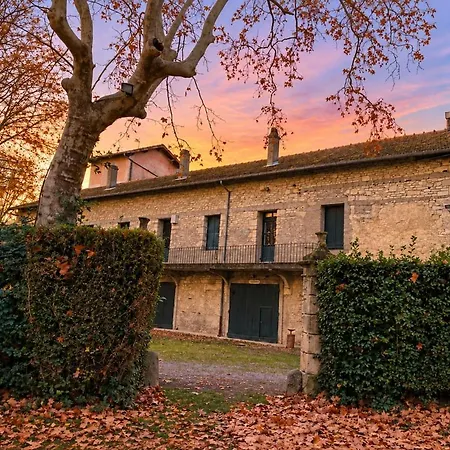 La Canopée Suites&spa *